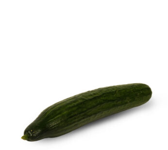 CONCOMBRE – Concombre 1 pièce