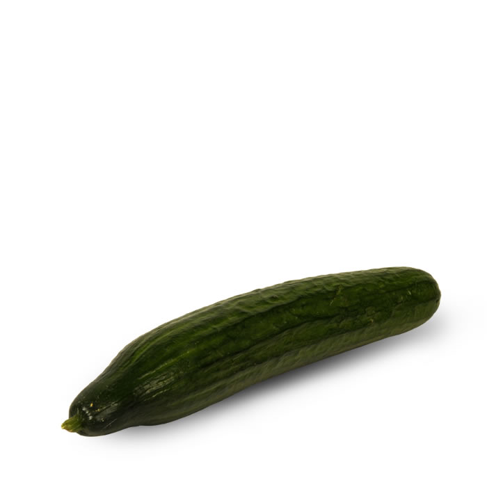 CONCOMBRE - Concombre 1 pièce