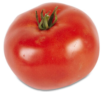 Tomate ronde à farcir