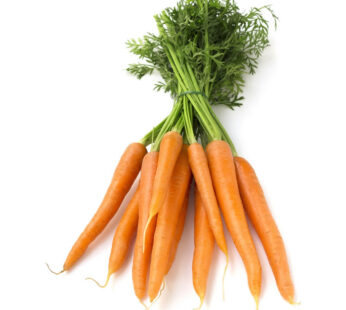 Carotte fane botte 1 pièce