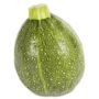 Courgette ronde