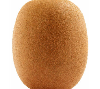 KIWI ZESPRI – Kiwi vert 1 pièce