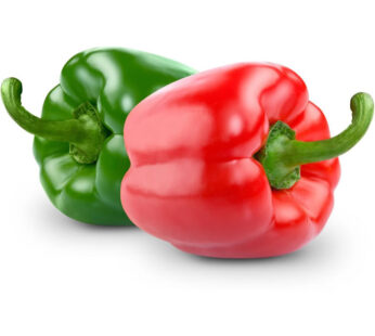 Poivron panaché bio