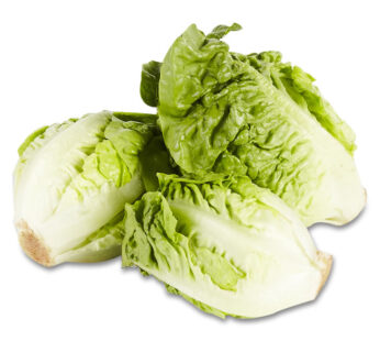 Coeur de Laitue 3 pièces
