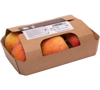 Pomme Gala – POMME