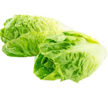 Salade coeur de romaine 2 pièces