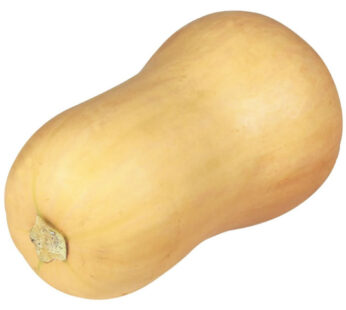 Butternut 1 pièce