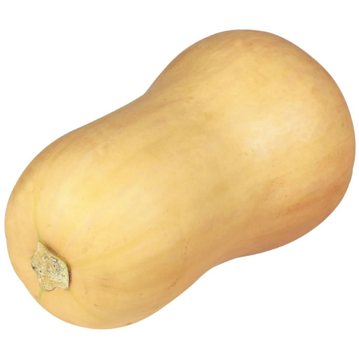 Butternut 1 pièce