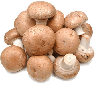 Champignons bruns