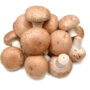 Champignons bruns