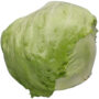 Salade laitue Iceberg