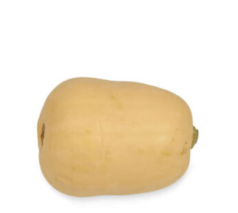 Butternut bio – 1 pièce
