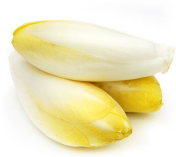 Endive jeune pousse