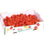 TOMATE - Tomates cerises 1kg