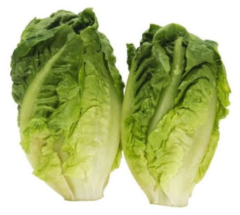 Salade laitue sucrine bio 2 pièces