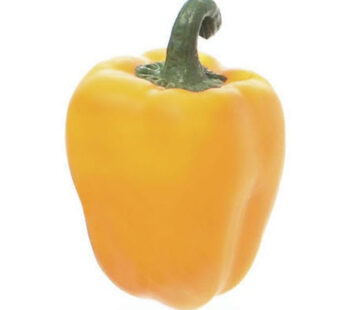 Poivron jaune