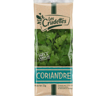 Coriandre en feuilles