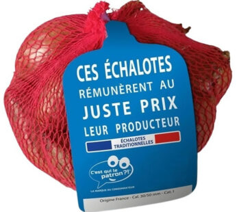 C&rsquo;EST QUI LE PATRON ?! – Echalote traditionnelle