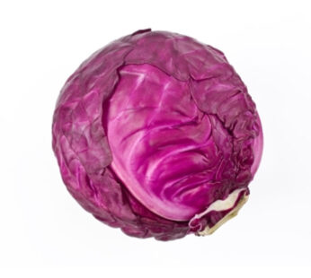 Chou rouge 1 pièce