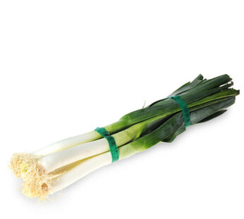Poireau botte
