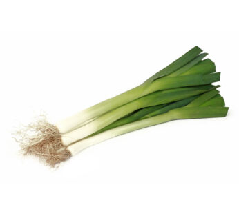 POIREAU – Poireau bio