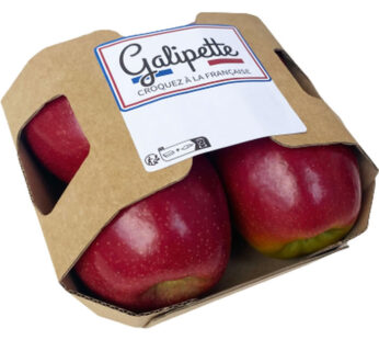 POMME BICOLORE – Pomme bicolore 4 pièces