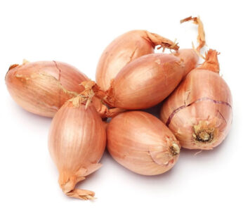 Echalote longue traditionnelle – ECHALOTE