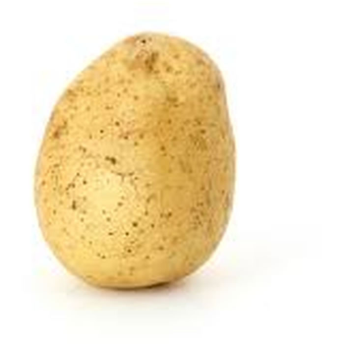 Pomme de terre blonde four bio