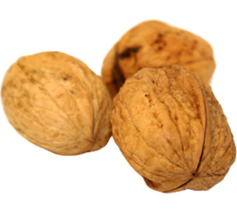 NOIX – Noix entières sèches 650 g