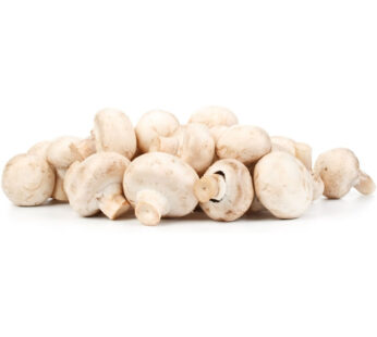 Champignons blanc pied entier