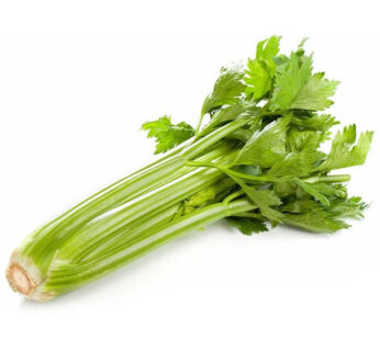 Céleri vert en branche