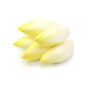 Endive