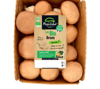 Champignons brun bio
