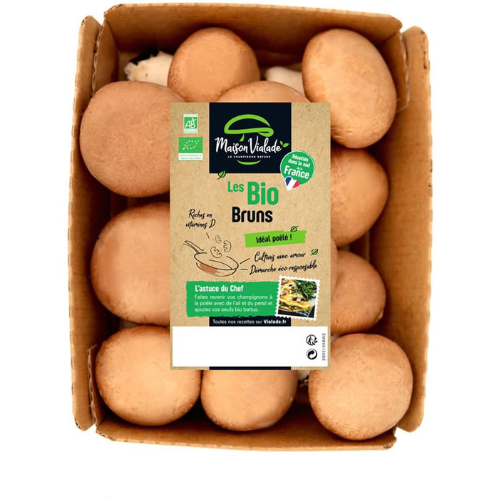 Champignons brun bio